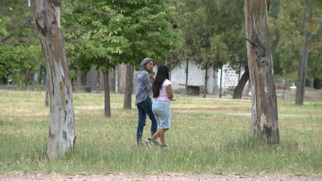 Prevención del suicidio adolescente: el programa Fijar dato de Unidiversidad fue reconocido por la Legislatura