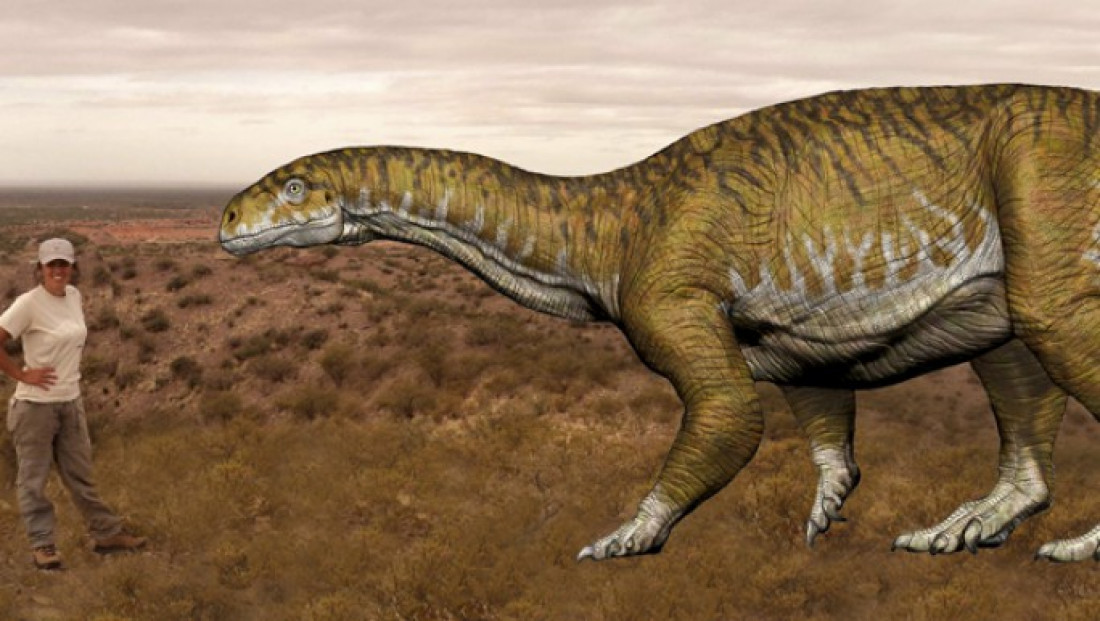 Cecilia Aspaldetti: "Nunca esperamos encontrar un dinosaurio de este tamaño"