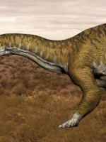 Cecilia Aspaldetti: "Nunca esperamos encontrar un dinosaurio de este tamaño"
