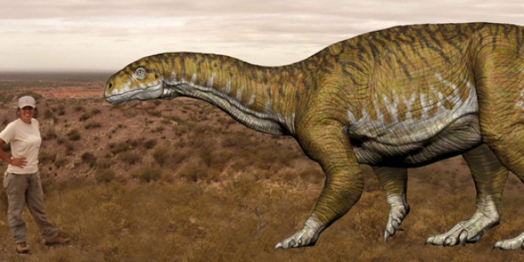Cecilia Aspaldetti: "Nunca esperamos encontrar un dinosaurio de este tamaño"
