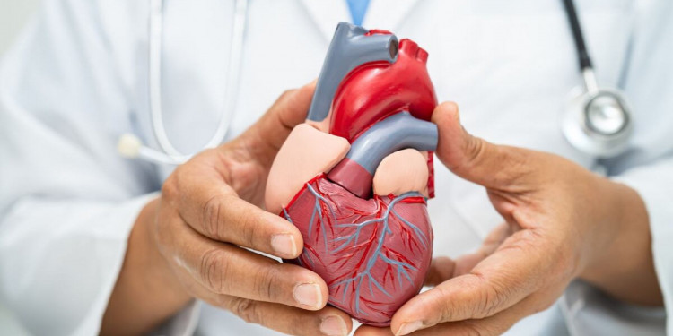 Resaltan la importancia de la vacunación en la prevención de eventos cardiovasculares