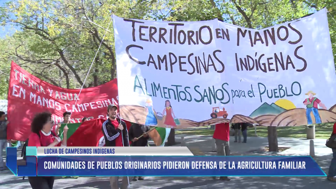 Comunidades de Pueblos Originarios pidieron defensa de la agricultura familiar.