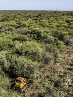 La deforestación en la Amazonia brasileña marcó el récord más importante de los últimos años 