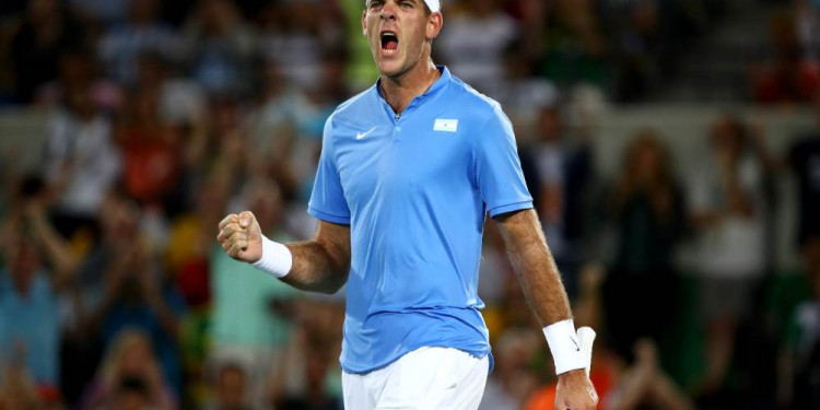 Del Potro, tras vencer a Djokovic: "Sentí que volví a jugar al tenis"