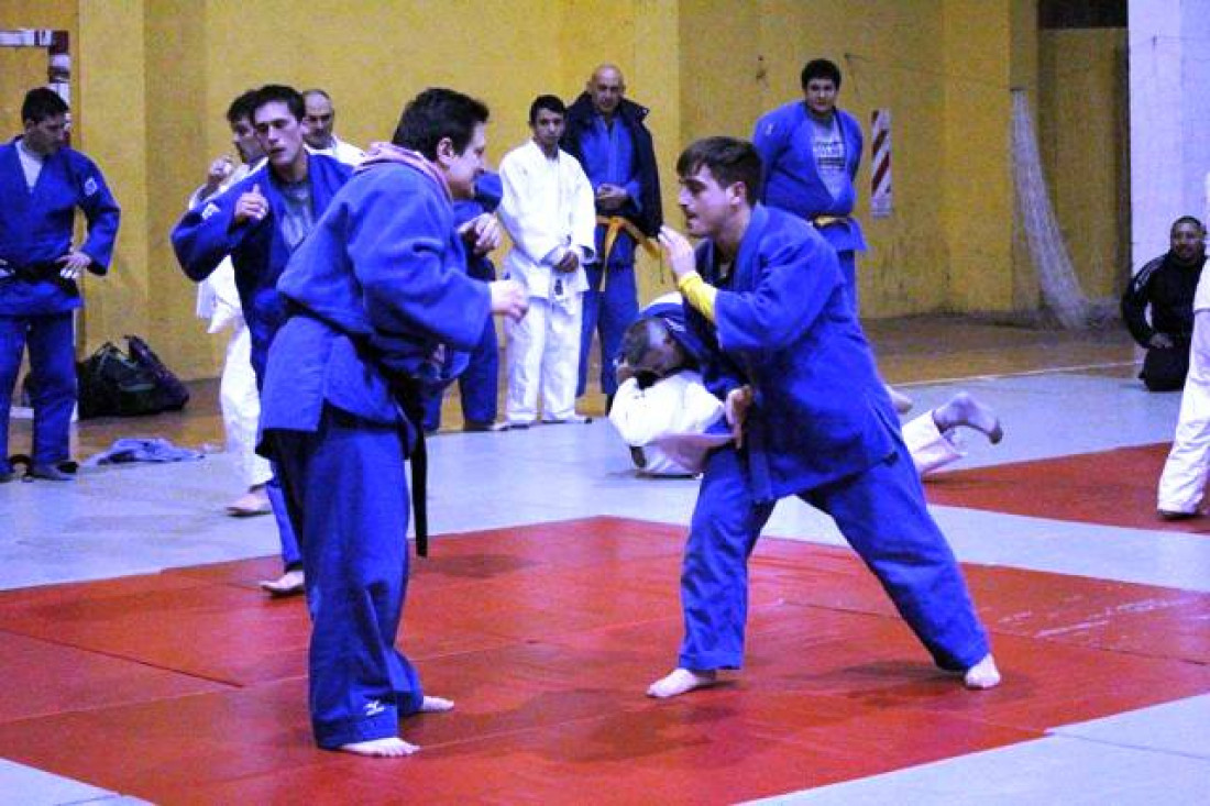 Efecto Pareto: Hablemos de judo