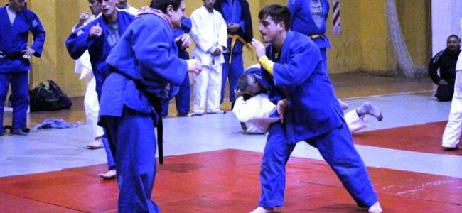 Efecto Pareto: Hablemos de judo