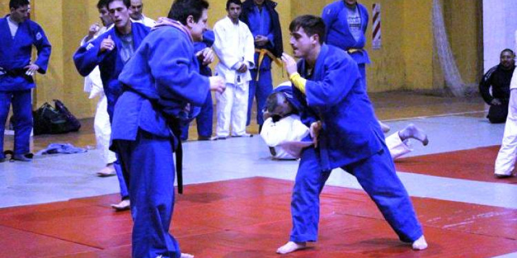 Efecto Pareto: Hablemos de judo