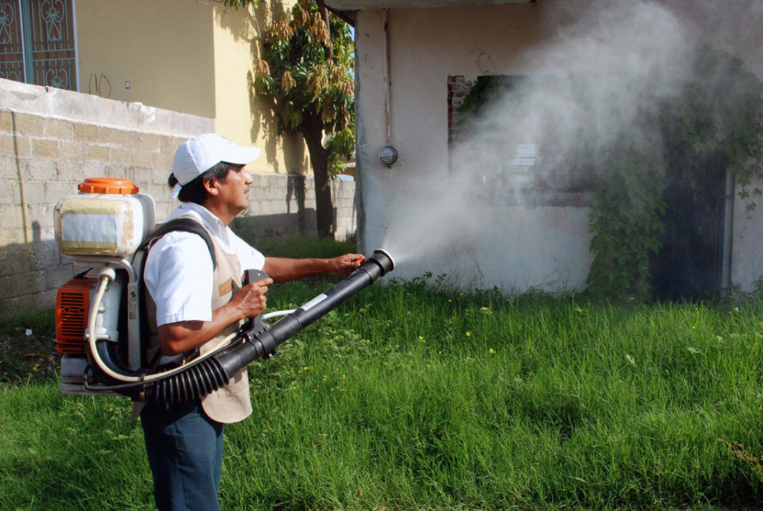 Mapa: los casos de dengue por provincia