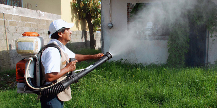 Mapa: los casos de dengue por provincia