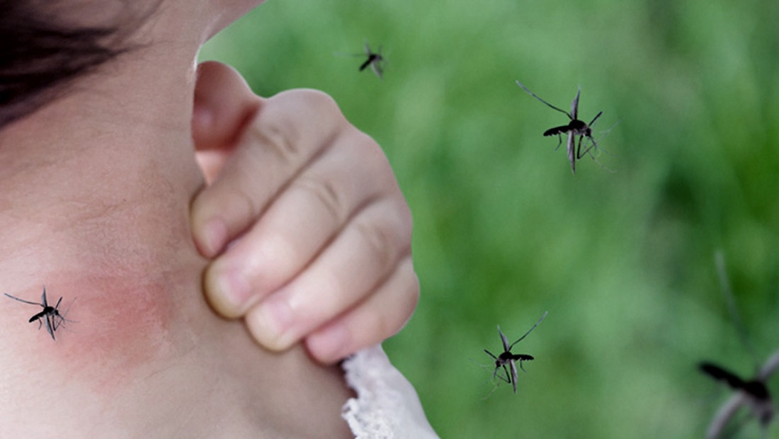 Argentina vive el mayor brote de dengue, superior al de 2016 y 2020 