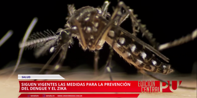 Sigue la prevención frente al dengue y el zika