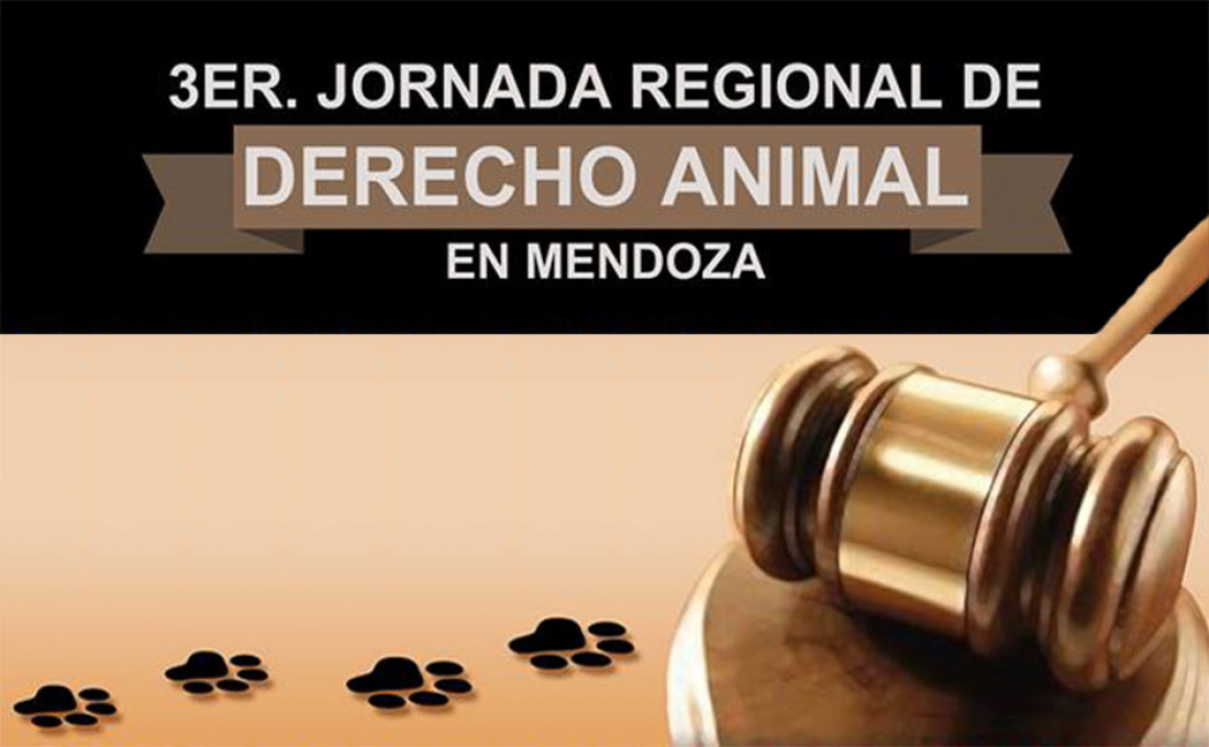 Abogados debaten sobre los derechos de los animales