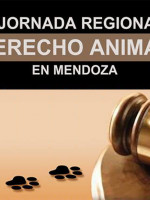 Abogados debaten sobre los derechos de los animales
