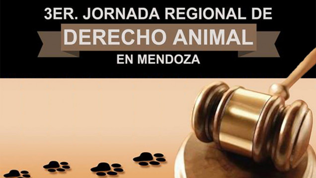 imagen Abogados debaten sobre los derechos de los animales