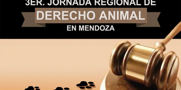 Abogados debaten sobre los derechos de los animales