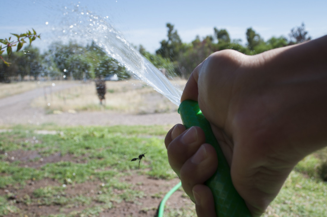 20 millones de dólares por derroche de agua