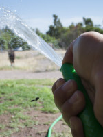 20 millones de dólares por derroche de agua