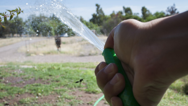 imagen 20 millones de dólares por derroche de agua