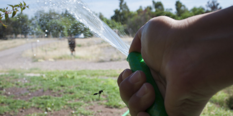 20 millones de dólares por derroche de agua