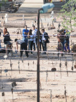 Identifican los restos de un desaparecido de la dictadura