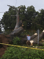 Panamá y Costa Rica, en alerta por la llegada del huracán Otto