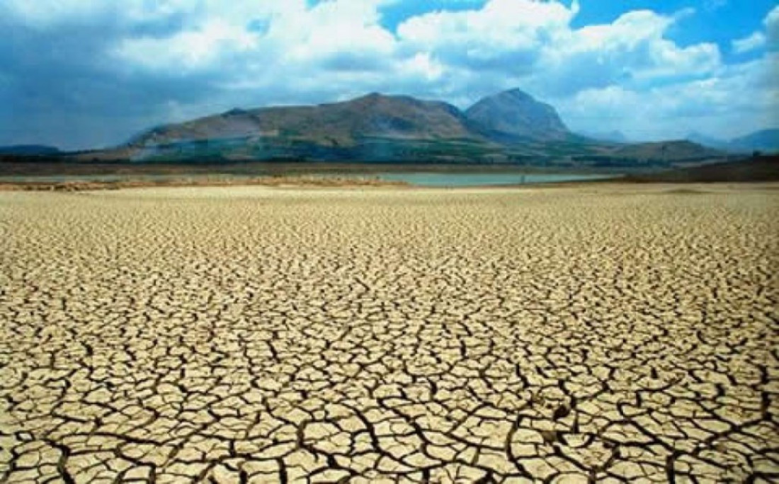 Prevenir la desertificación o morir en el intento