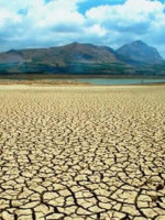 Prevenir la desertificación o morir en el intento