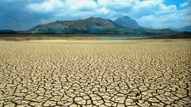 imagen Prevenir la desertificación o morir en el intento