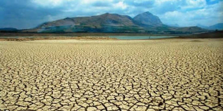 Prevenir la desertificación o morir en el intento