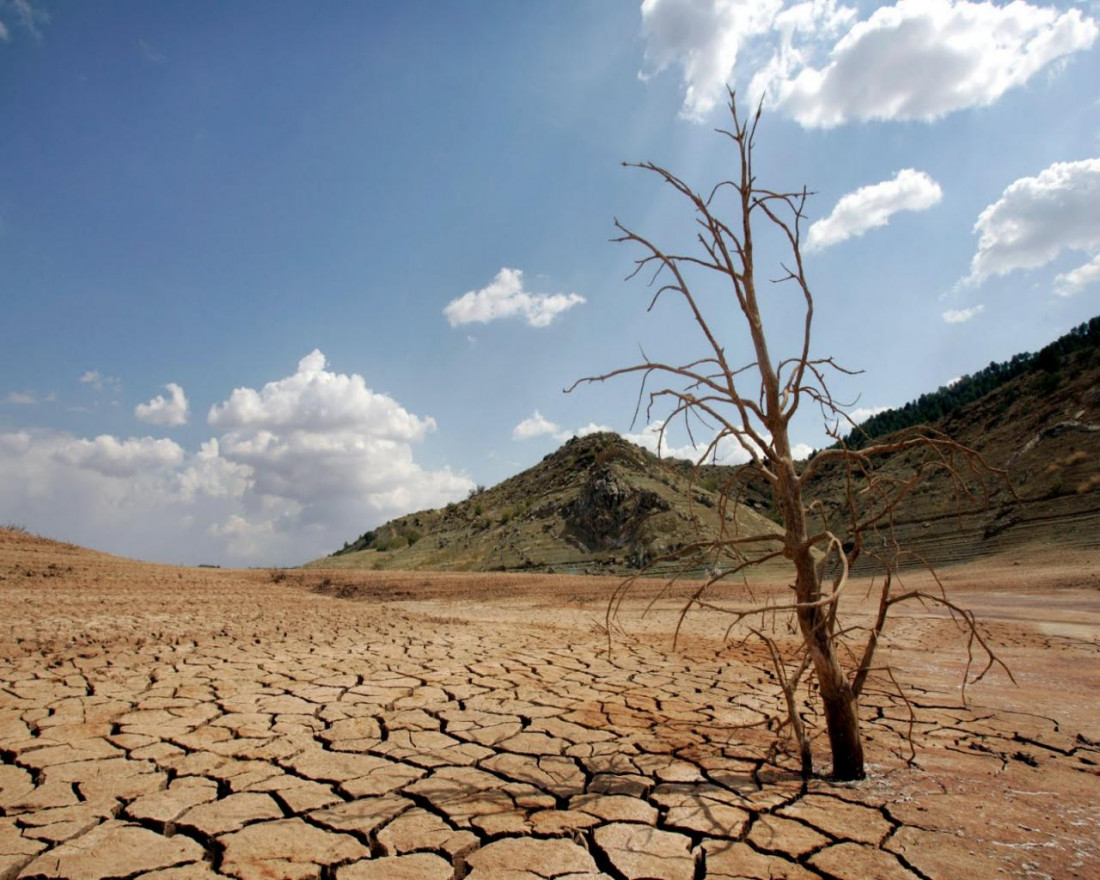 Bases para mitigar el cambio climático en Mendoza