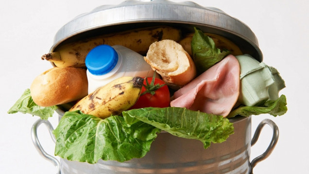 imagen Mientras 811 millones pasan hambre, el mundo desperdicia el 17 % de los alimentos que produce