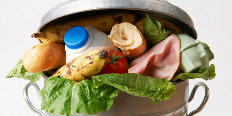 Mientras 811 millones pasan hambre, el mundo desperdicia el 17 % de los alimentos que produce