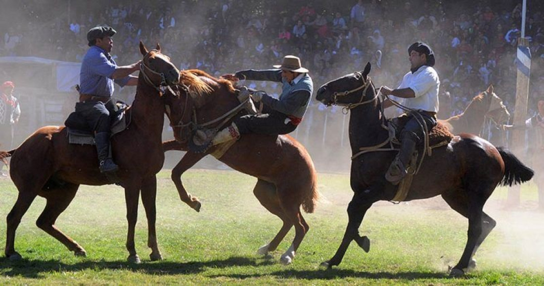 Día del Animal: repudian el proyecto que busca declarar a las destrezas criollas como deporte provincial