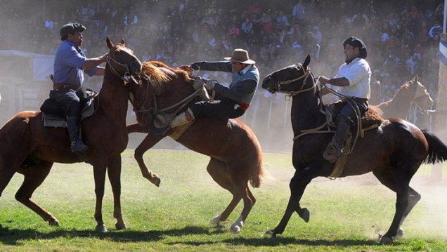 imagen Día del Animal: repudian el proyecto que busca declarar a las destrezas criollas como deporte provincial