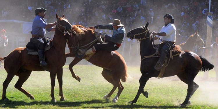 Día del Animal: repudian el proyecto que busca declarar a las destrezas criollas como deporte provincial