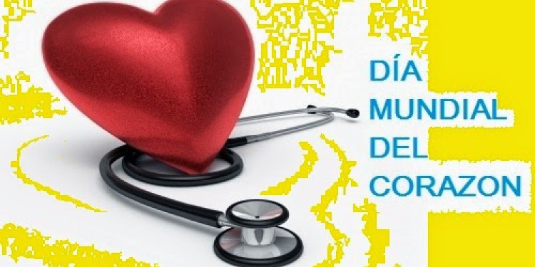 Más de 10 mil argentinos mueren cada año por enfermedades cardiovasculares