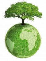 Día del Medio Ambiente: "El accionar de cada uno es clave y fundamental"