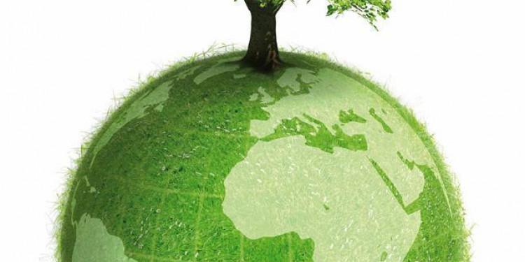 Día del Medio Ambiente: "El accionar de cada uno es clave y fundamental"