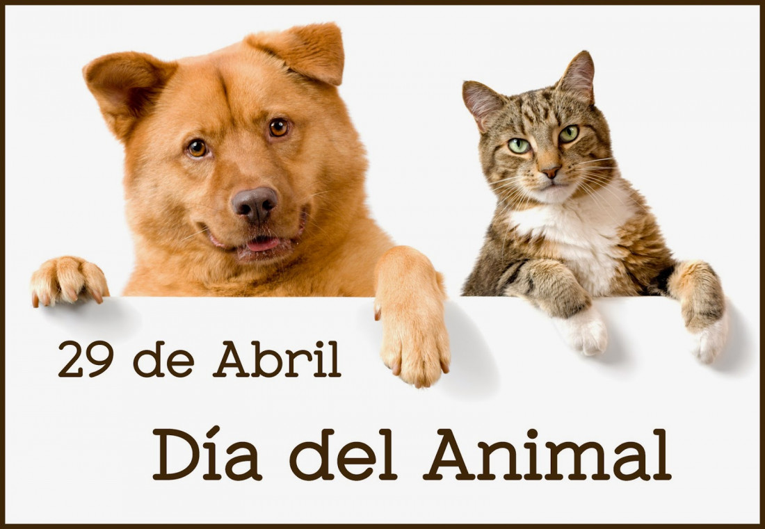 Día del Animal: una agenda cargada de actividades para este sábado