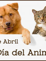 Día del Animal: una agenda cargada de actividades para este sábado