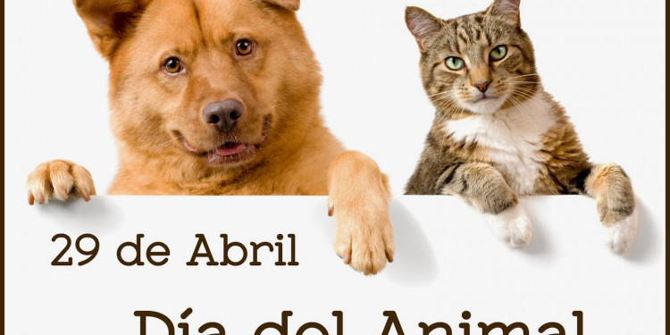 Día del Animal: una agenda cargada de actividades para este sábado