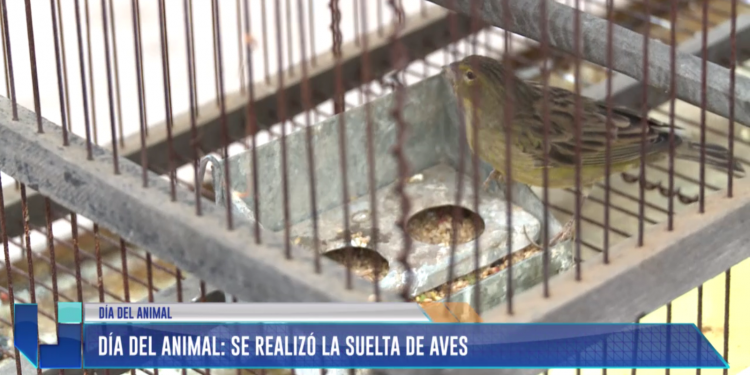 Se realizó suelta de aves por el Día del Animal