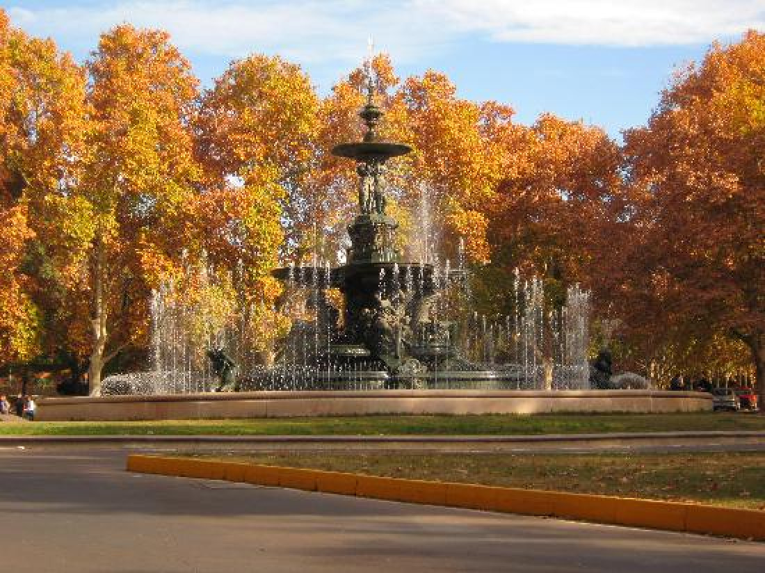 En nuestra provincia hoy se celebra el día del árbol 