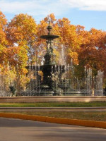 En nuestra provincia hoy se celebra el día del árbol 