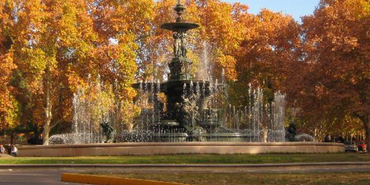 En nuestra provincia hoy se celebra el día del árbol 