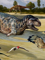 Descubrieron una nueva especie de dinosaurio depredador en Neuquén