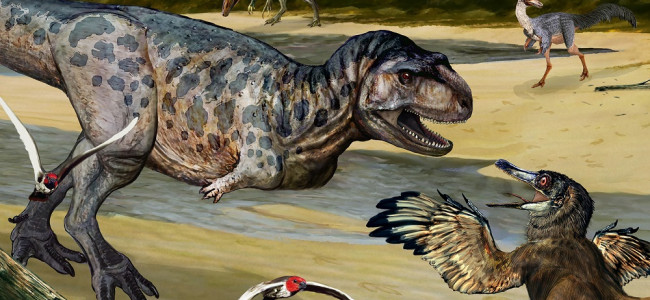 Descubrieron una nueva especie de dinosaurio depredador en Neuquén