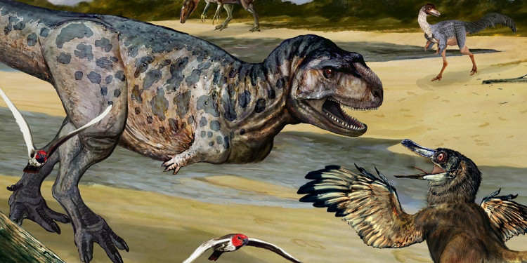 Descubrieron una nueva especie de dinosaurio depredador en Neuquén