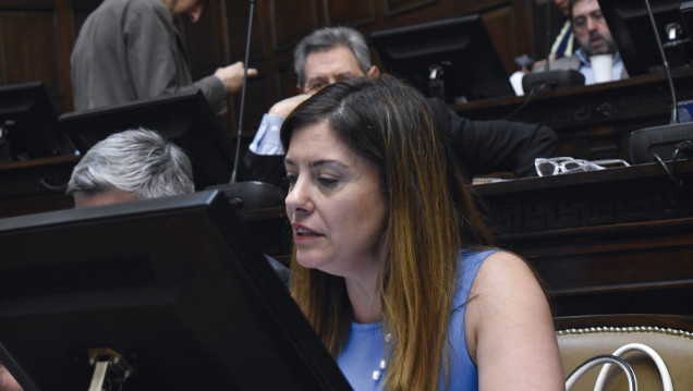 imagen Apoyo legislativo a Suarez tras la polémica por Portezuelo