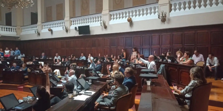 Juran 127 diputados y diputadas: quiénes representan a Mendoza en el Congreso